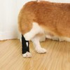 Dog Rear Leg Brace Prevent Licking Fixing Strap Spring Support