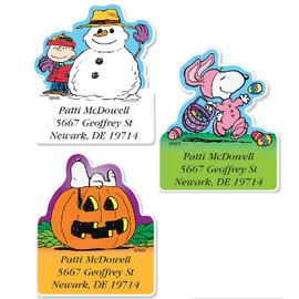 Colorful Images Year Round Holiday Peanuts Return Address Mailing Labels, Personalize with Name & Shipping Address, Set of 144 Self Adhesive, Easy Peel Flat Sticker Label Sheets, Diecut, 12 Designs