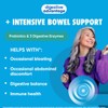 Digestive Advantage Intensive Bowel Support Probiotic Defends Against Gas &