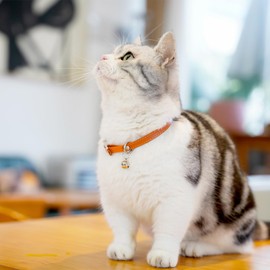 DAIHAQIKO Cat Collar with Bells,Kitten Collar for Boy & Girl Leather cat Collar Breakaway with Safety Elastic Strap (Neck Fit 8"-11",Brown)