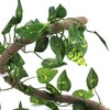 Reptile Climbing Branch Flexible Jungle 3.28ft Rattan 1Pc Vine(3.28ft Rattan+Scindapsus