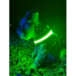 Step-in Air Dog LED Harness - All Weather Mesh, Reflective, No Pull Harness for Small, Medium Dogs, Cats - Secure, Buckle, D-Ring, Rechargeable, Water Resistant (Green, Medium)