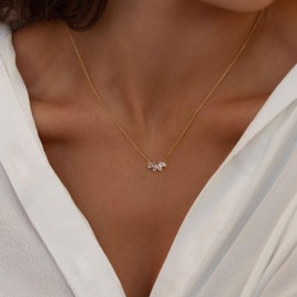 Gold Necklace for Women, Dainty 14k Gold Plated Cubic Zirconia Pendant Necklace Cute Simple Chain Necklaces for Women Trendy Jewelry