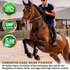 V-POINT - Laminitis Ease - hoof Supplements for Horses -