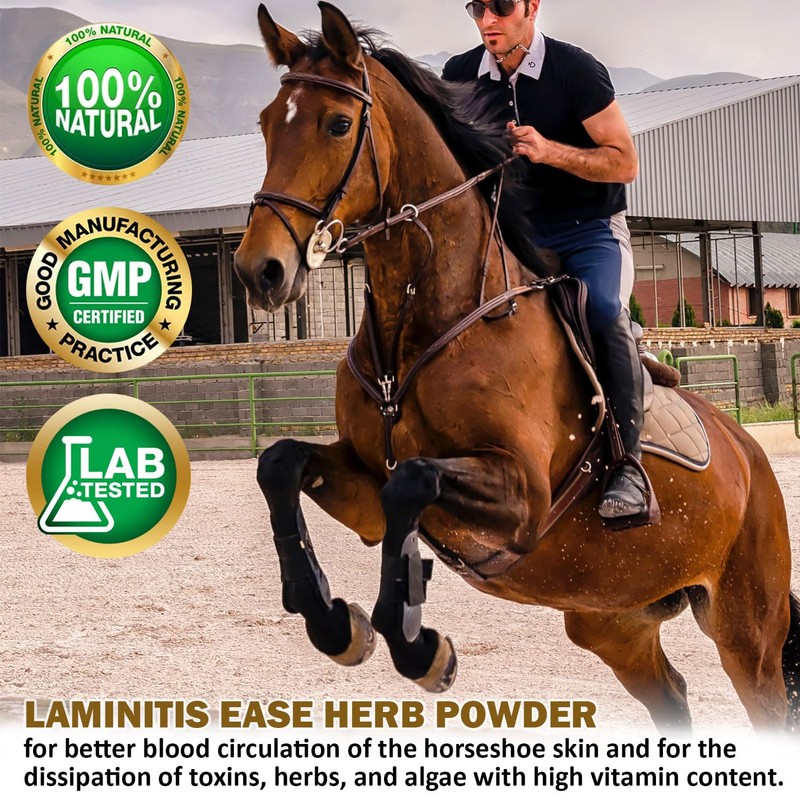 V-POINT - Laminitis Ease - hoof Supplements for Horses -