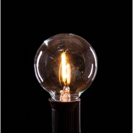 Hometown Evolution, Inc. Box of 25 G40 LED Plastic 2 Inch .6 Watt C7 E12 Base Replacement Bulbs