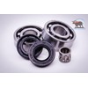 Traverse Creek Incorporated DUKE'S Crank and PIN Bearings with Seals