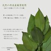 A&K MKS-01SS Premium Preserved Sakaki SS (1 Pair), Made in
