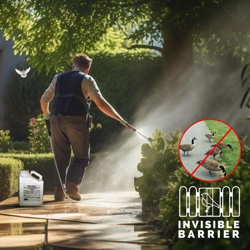 Bird-X Bird Stop Liquid, Invisible and Effective Bird Removal Liquid,
