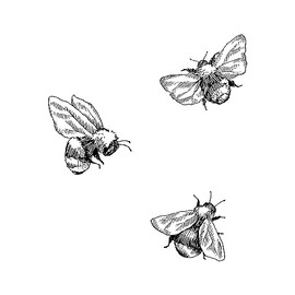 Dopetattoo 6 Sheets Temporary Tattoos Bee Tattoo Honeybee Tattoo Makeup Insect Temporary tattoo Fake Tattoos Neck Arm Chest for Women Men Adults