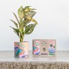 Sow N Sow Pop Up Pot, Yonder 1 Unit