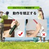 ADOFUN Golf Swing Training Golf Practice Equipment [Set of 2]
