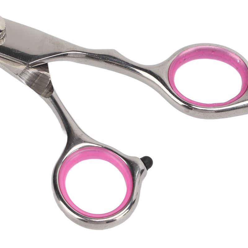Pet Rabbit Grooming Scissors Stainless Steel Round Tip 4 in