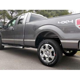 QAA is Compatible with 2009-2014 Ford F-150 10 Piece Stainless Body Molding Insert Trim Kit, 1.5" Width MI49310