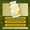 St John’s Wort Capsules 900mg Per Serving (10:1 Extract Equivalent.