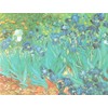 VON LILIENFELD Glasses Case Vincet van Gogh Irises Present Cleaning