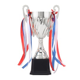SINGOMON 24cm Gold Trophy Cup 9.4 Inch Metal Award Trophy Cup for Sports, Competitions, Prizes (Silver)