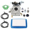 Panari A021003941 Carburetor for Echo PB770 PB770H PB770T Leaf Blower