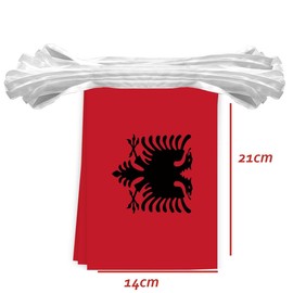 30PCS Albania National Flag Bunting String,33 FT Albanians Pennant Banner Decoration,Decoration Banner for School Party Meeting Carnival Decor
