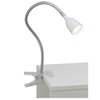 Anthony Desk Lamp