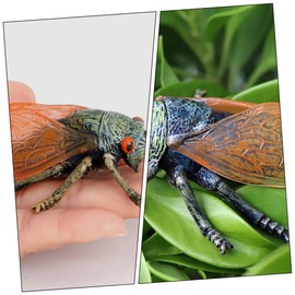 ibasenice 2pcs Decor Toys Realistic Cicadas Model Artificial Cicadas Ornament Cicadas Figurines Cicadas Recognition Model Simulation Cicadas Model Model Toy Doll Child Plastic Desktop