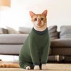 Cat Sticky Hair Clothes, Prevent Lost Hair Onesie Cat Clothes