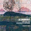 Schubert: Trio Opus 100 / Sonatensatz / Notturno