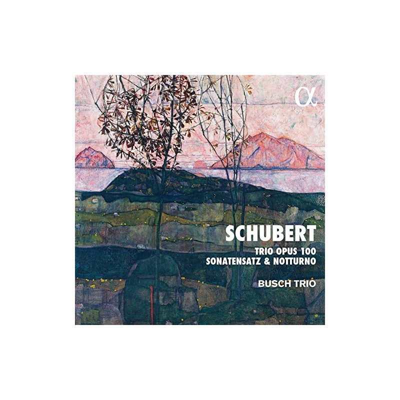 Schubert: Trio Opus 100 / Sonatensatz / Notturno