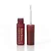 Rosie Rosa Eyebrow Makeup Fix (Eyebrow Coat) (Keeps Eyebrow Makeup