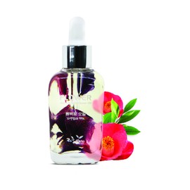 Jeju Story Camellia Flower Oil, 40ml, 1 piece / 제주이야기 동백꽃 오일, 40ml, 1개