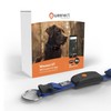 Weenect Dog XT - New GPS Collar for Dogs |