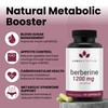 Luma Nutrition Berberine Supplement - Berberine HCL 1200mg Per Serving