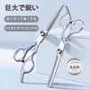 【FineGood】散髪 はさみ カット用 子供と大人の両用 ステンレス製 前髪カット用 散髪カット量調整用 初心者向け家庭用理髪器セルフカットに最適 (歯はさみ)