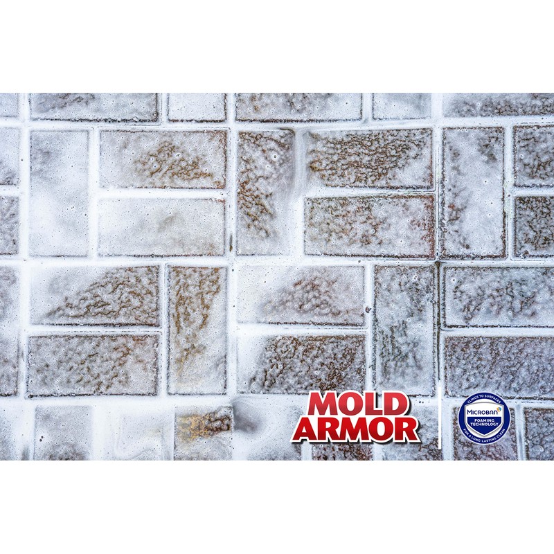 MOLD ARMOR E-Z House Fence & Patio Wash, Clear, 64