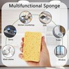 10 Packs Eco Sponges, Kitchen Sponges Multipack, Biodegradable Cellulose Sponge,