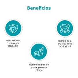 Nucan Alimento Nucan para perro cachorro sabor mix en bolsa de 20kg