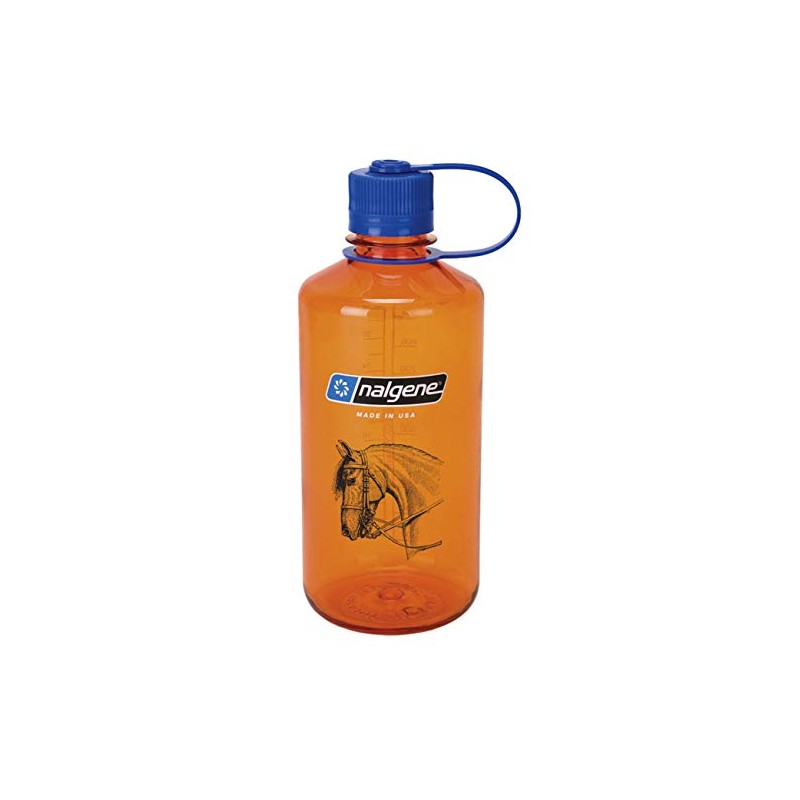 Nalgene Eh Water Bottle, 1 L