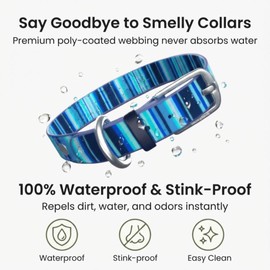Waterproof Dog Collar for Rain, Snow or Swim – Quick-Dry, Stink-Proof & Dirt-Proof – Washable, Easy to Clean & Odorless – Soft & Durable– Rust-Proof Metal Buckle for Medium & Large Dogs - Blue-M 1"