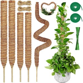4 Pcs Tutor para Plantas,con 2 Varilla Flexible para Musgo de 80 cm y 2 Tutor para Plantas Trepadoras de 60 cm, 5 Piezas de Accesorios, Poste de Musgo Flexible para Planta Monstera, Columpio