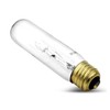 lumenivo Piano Light Bulb 40 watt 120 Volts 一 40T10/CL