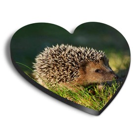 1 x Heart MDF Magnets - Hedgehog Animal Garden Wildlife 45311