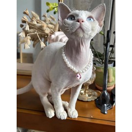 Daovace Pearl Cat Collar Dog Collar Rhinestone Necklaces for Small Dogs Collar Accessories Pet Collar (Small, Pink Drop Shape)