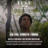 Suplemento Masculino 100 Orgánico Órganos Reproductores Toro Stud Yeke