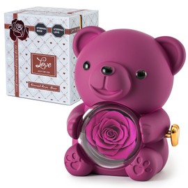Ariceleo Purple Teddy Bear with Preserved Rose, Real Rose Flower in Bear, Elegant Gift Box, Heart-Shaped Necklace, Unique Gift for Valentine's Day, Mother's Day, Wedding, Anniversary, Bridal Showers