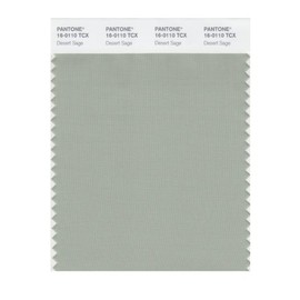 PANTONE Smart 16-0110X Color Swatch Card, Desert Sage