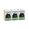 DesertUSA Cat Grass Refill Kit (3)