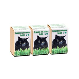 DesertUSA Cat Grass Refill Kit (3)
