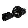 AutoShack Rear Complete Strut Coil Spring Passenger Side Replacement for