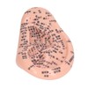 6.7in Ear Acupuncture Model Silicone Engraving Ear Massage Acupuncture Model