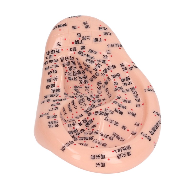 6.7in Ear Acupuncture Model Silicone Engraving Ear Massage Acupuncture Model